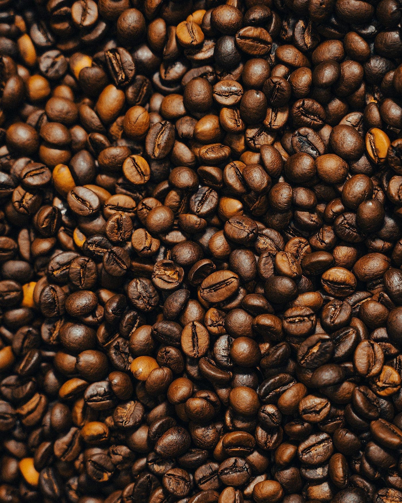 Freshly roasted coffee beans filling the frame